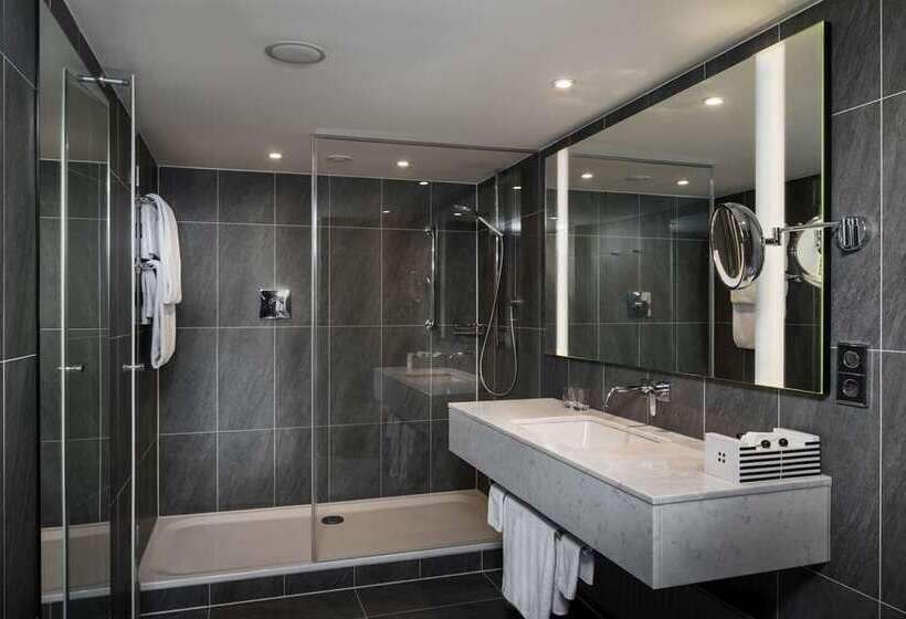 스탠다드 룸 킹사이즈 침대, Hilton Vienna Plaza