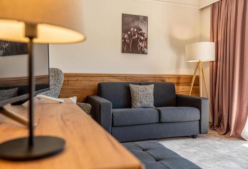 اتاق سوپریور, Stadtvilla Schladming Boutique