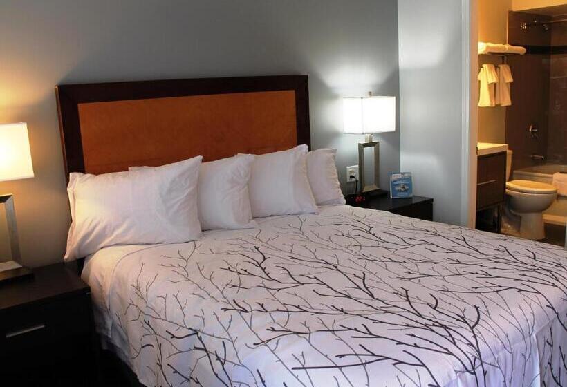 스탠다드 룸, Westridge Motor Inn