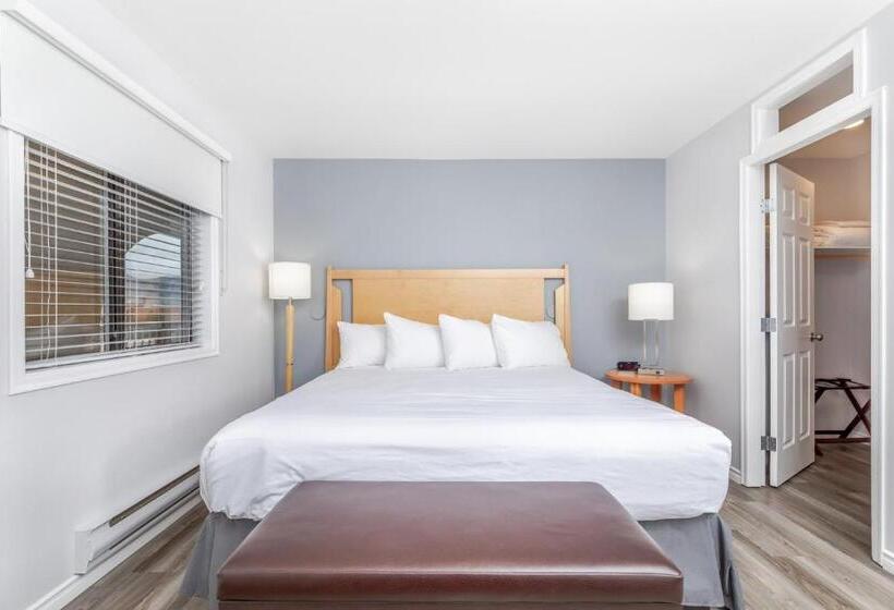스위트 킹사이즈 침대, Westridge Motor Inn