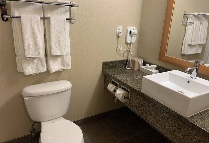 Президентский Люкс, Woodlands Inn & Suites