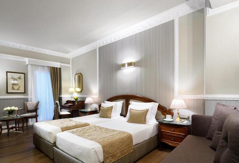 غرفة كلاسيكية, Mediterranean Palace