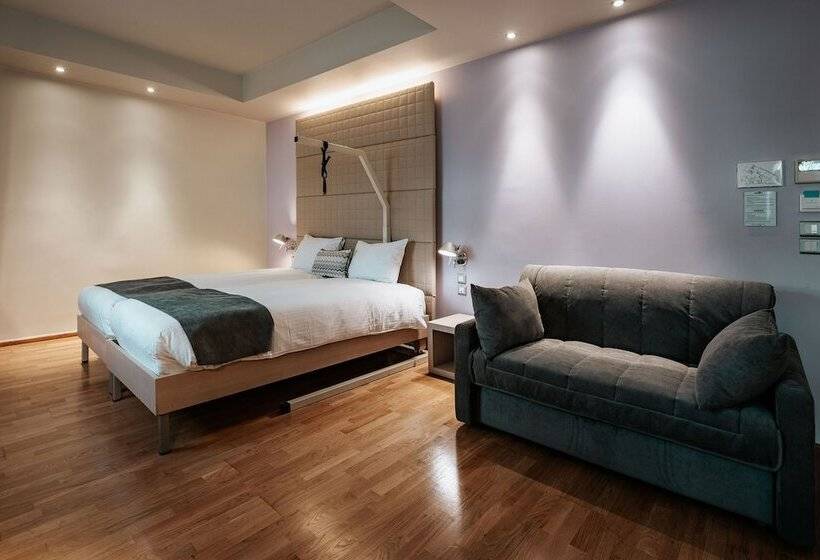 장애인을 위한 스탠다드 룸, Domotel Olympia