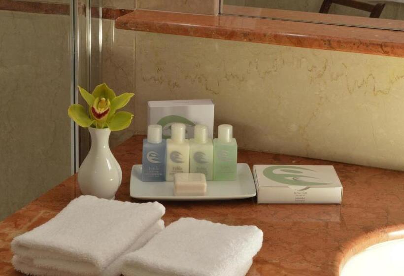 اتاق کلاسیک با چشم‌انداز دریا, Grand Hotel Vesuvio