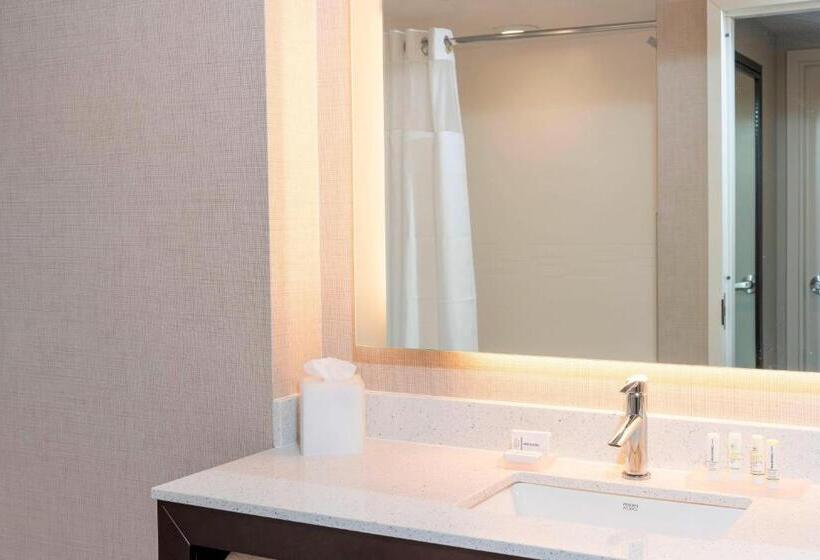 キングサイズベッドのスイートルーム, Residence Inn By Marriott Lafayette