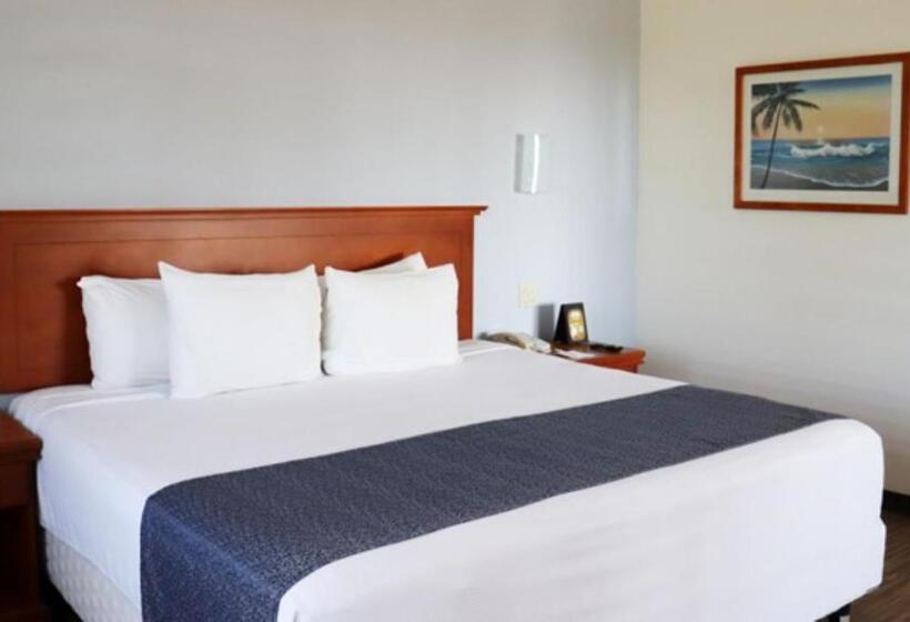 اتاق استاندارد با تخت بزرگ, Araiza Palmira Hotel Y Centro De Convenciones