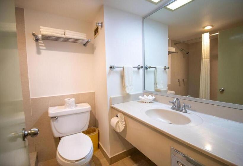 اتاق استاندارد, Araiza Palmira Hotel Y Centro De Convenciones