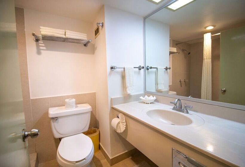 اتاق استاندارد, Araiza Palmira Hotel Y Centro De Convenciones