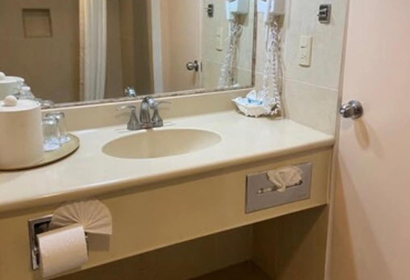 اتاق استاندارد, Araiza Palmira Hotel Y Centro De Convenciones