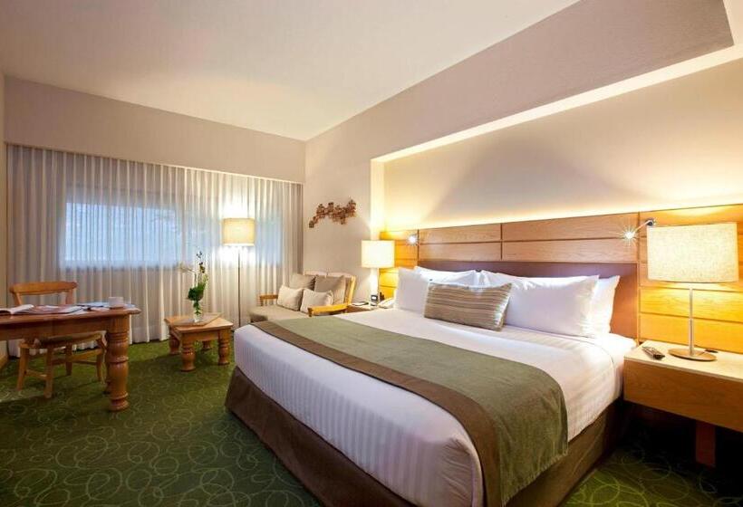 اتاق لوکس با تخت بزرگ, Marriott Tuxtla Gutierrez