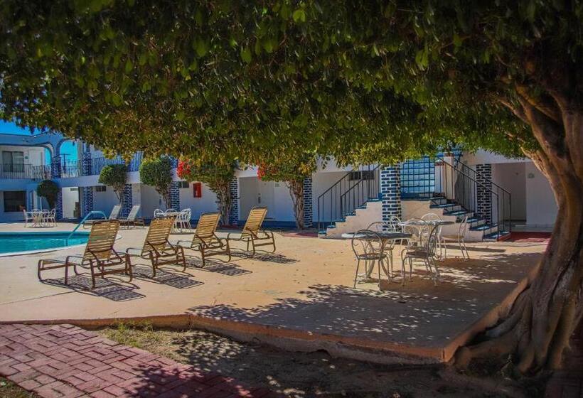 اتاق استاندارد با تخت بزرگ, Playa Inn Rocky Point