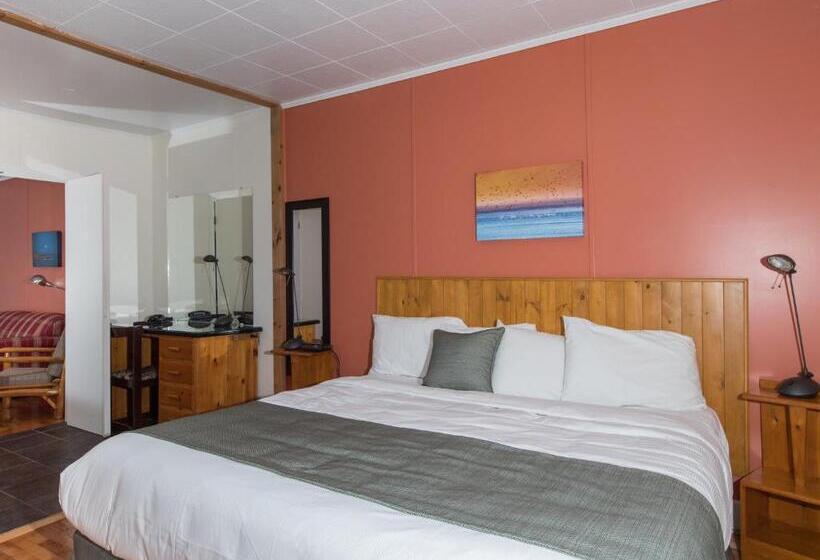 إستوديو قياسى سرير كينج, Au Pic De L Aurore Motel Chalets