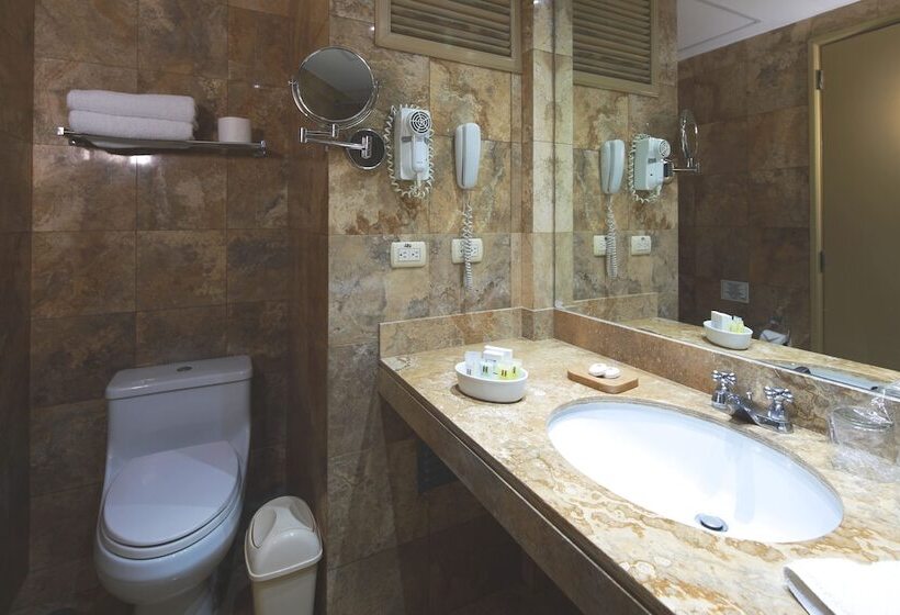 اتاق استاندارد یک نفره, San Agustin Exclusive
