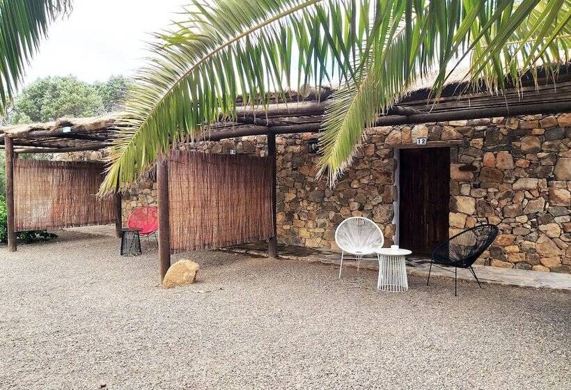 اتاق استاندارد, Rural Rugama