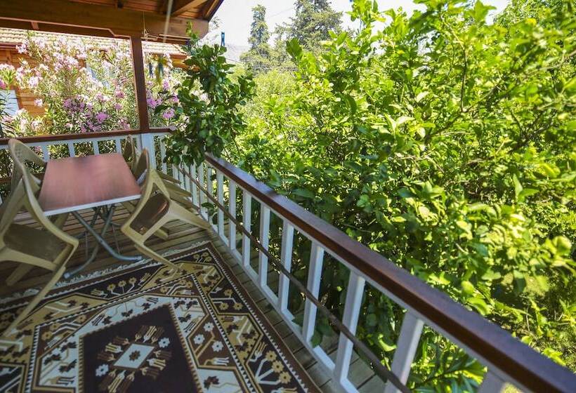 ویلای سوپریور 1 خوابه, Cirali Villa Zeytin