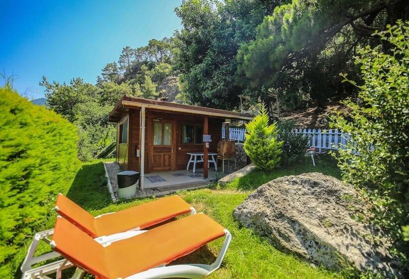 ویلای سوپریور 1 خوابه, Cirali Villa Zeytin