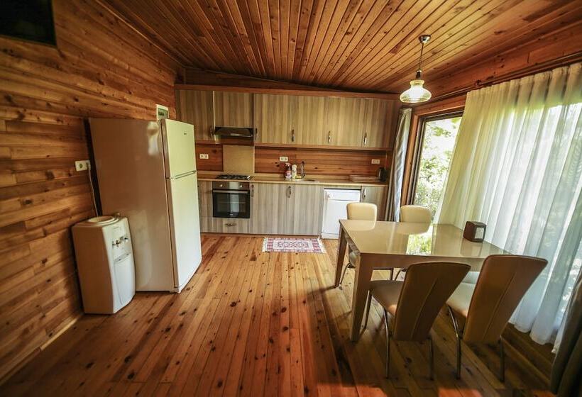 ویلای سوپریور 1 خوابه, Cirali Villa Zeytin
