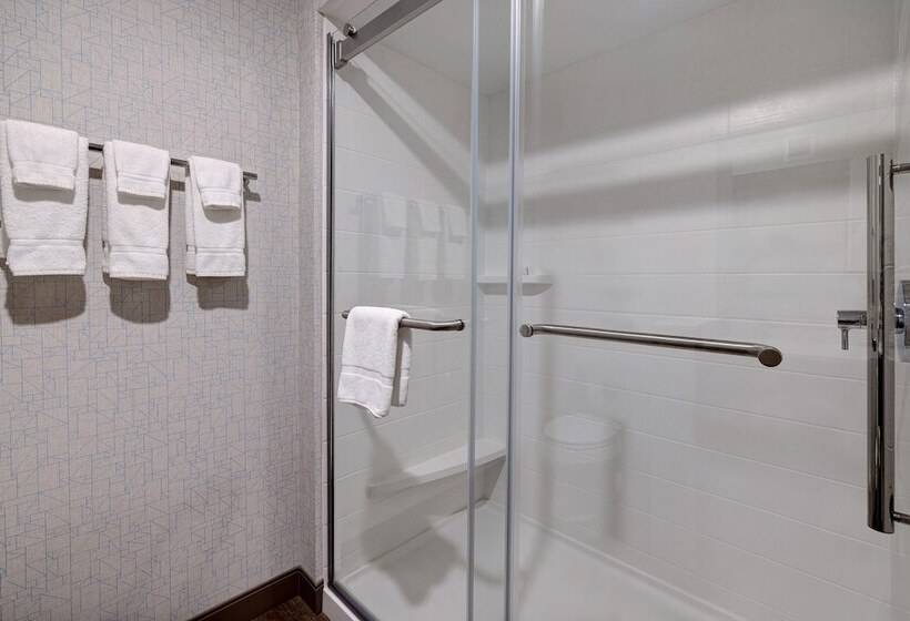 Люкс, Holiday Inn Express & Suites   Brighton, An Ihg