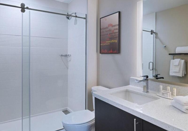 استودیو استاندارد با تخت کینگ, Towneplace Suites By Marriott Dallas Dfw Airport North/irving