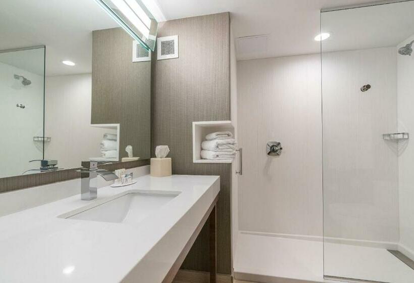 اتاق استاندارد, Courtyard By Marriott West Springfield