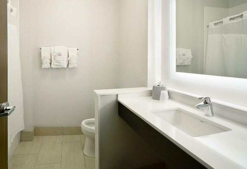 Номер Стандарт Адаптированный для Инвалидов, Holiday Inn Express & Suites   Wentzville St Louis West, An Ihg