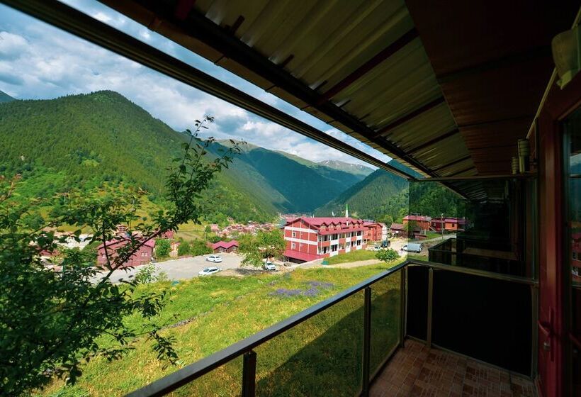 آپارتمان سلطنتی 1 خوابه, Monoir Suite