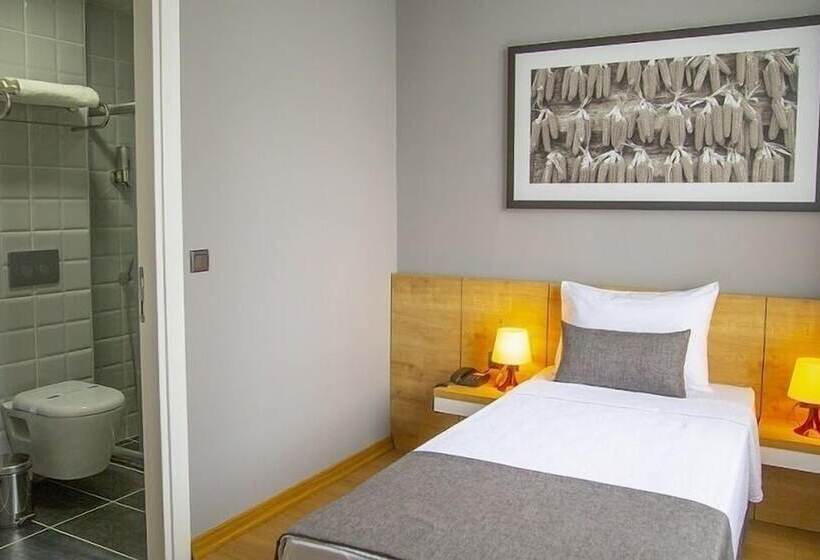 اتاق استاندارد یک نفره, Uzer Otel