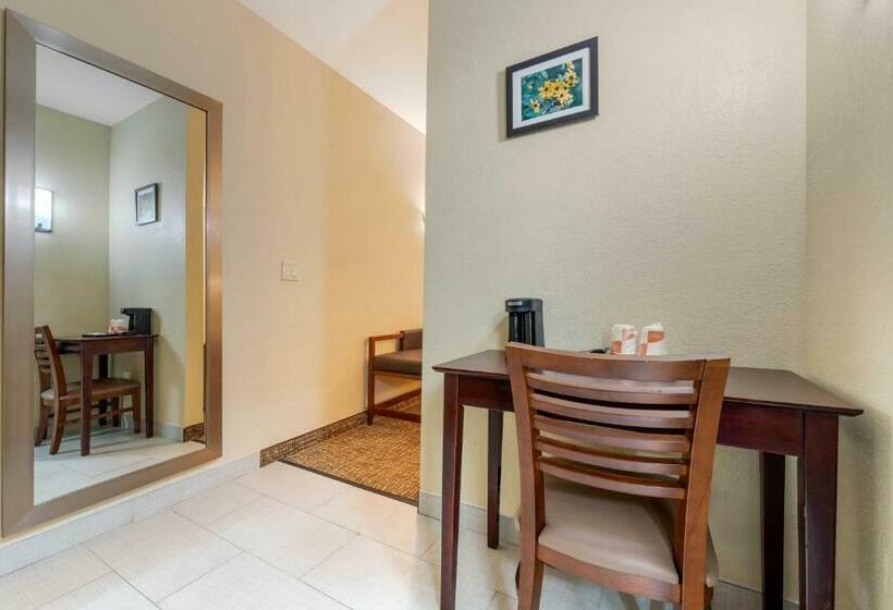 Стандартный Номер Кровать Кинг, Comfort Inn & Suites