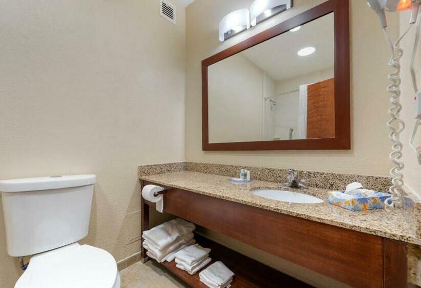 Стандартный Номер Кровать Кинг, Comfort Inn & Suites