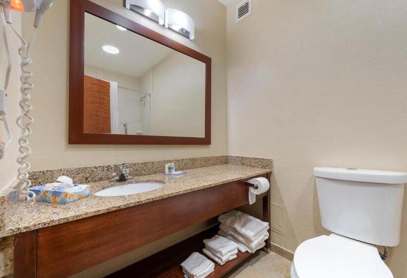 Номер Стандарт, Comfort Inn & Suites