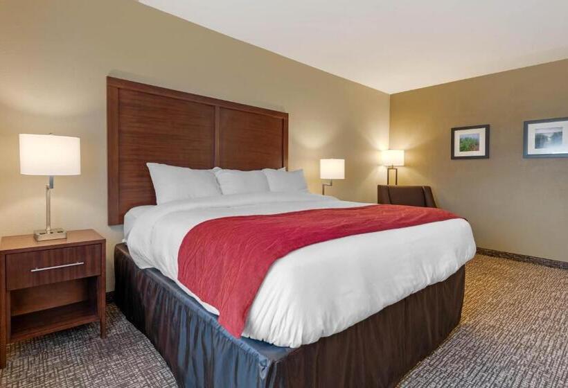 Номер Стандарт Кровать Кинг Адаптированный для Инвалидов, Comfort Inn & Suites