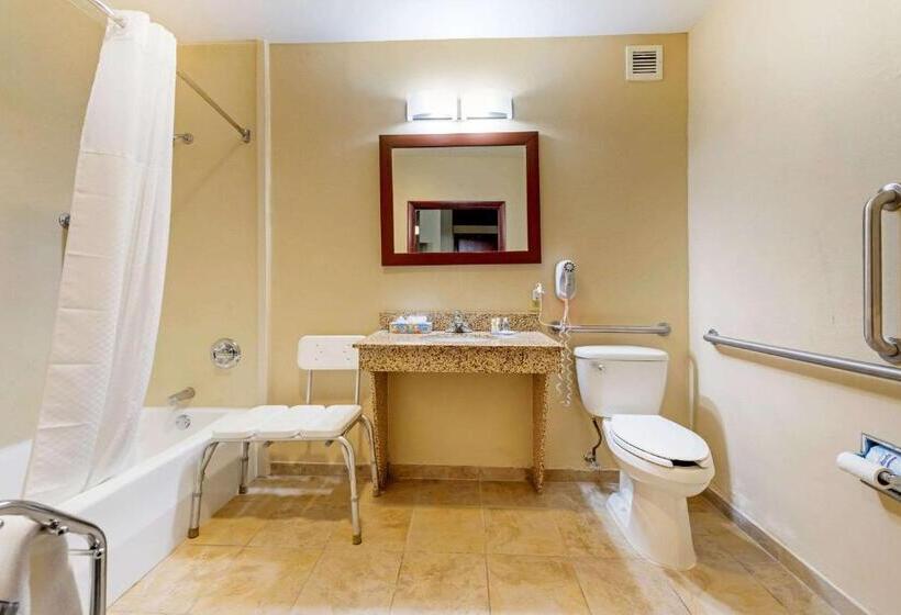 Люкс Адаптированный для Инвалидов, Comfort Inn & Suites