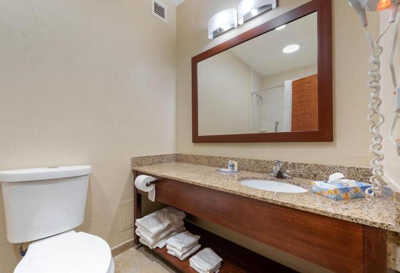 Люкс Адаптированный для Инвалидов, Comfort Inn & Suites