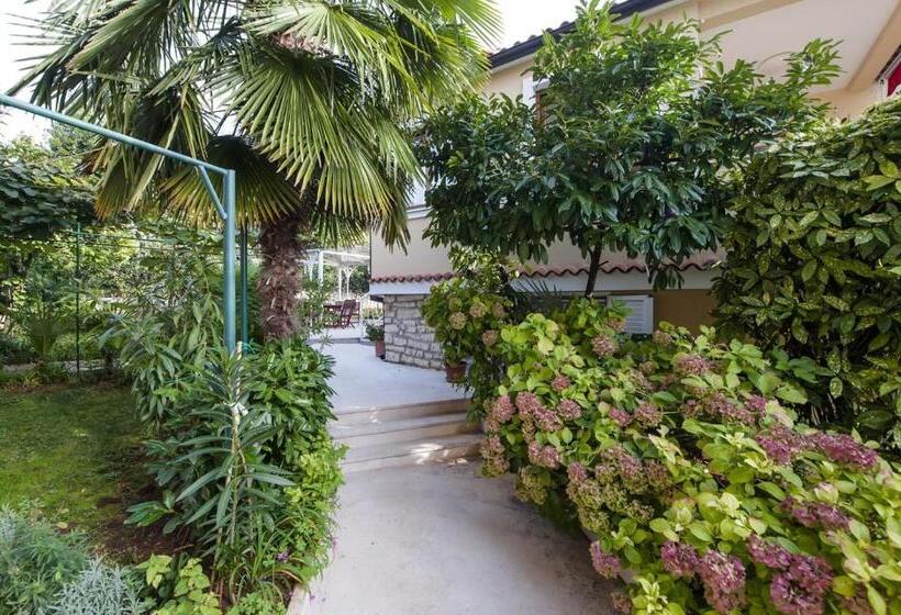 آپارتمان 1 خوابه, Apartments Pino