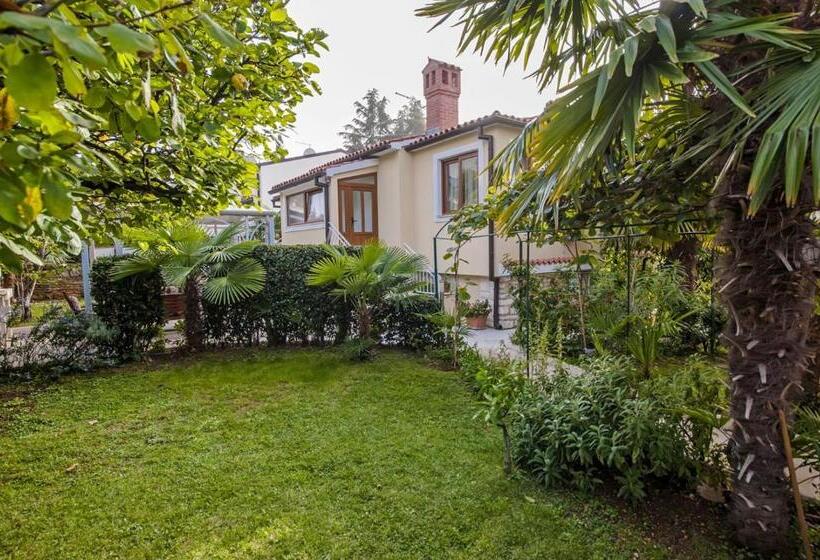 آپارتمان 1 خوابه, Apartments Pino