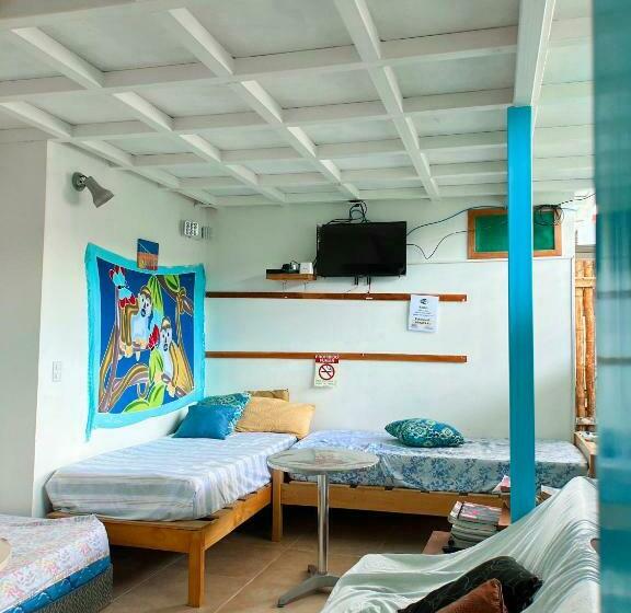 تختخواب در اتاق مشترک, Hostel Samara