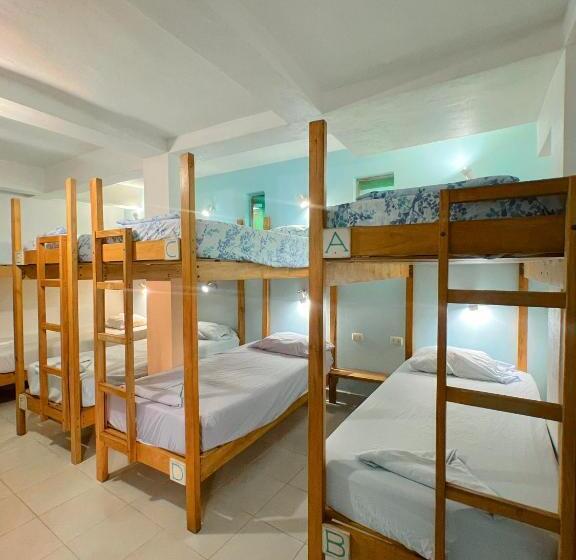 تختخواب در اتاق مشترک, Hostel Samara