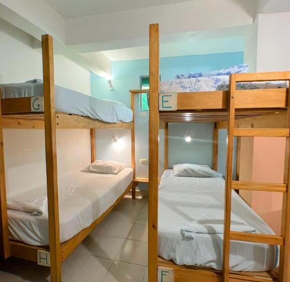 تختخواب در اتاق مشترک, Hostel Samara