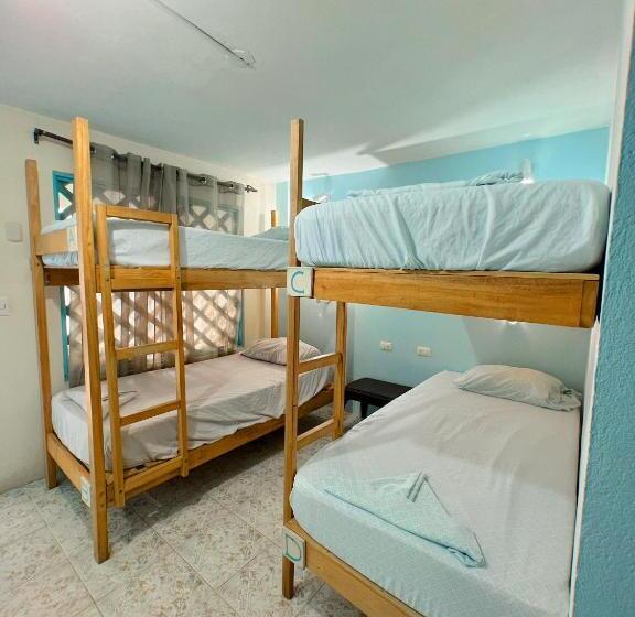 تختخواب در اتاق مشترک, Hostel Samara