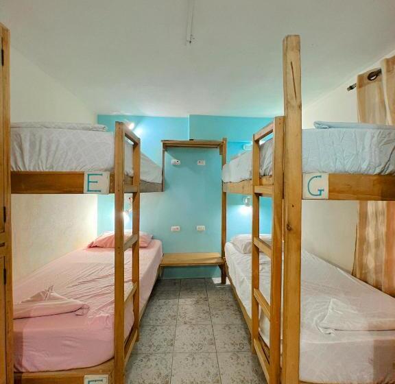 تختخواب در اتاق مشترک, Hostel Samara