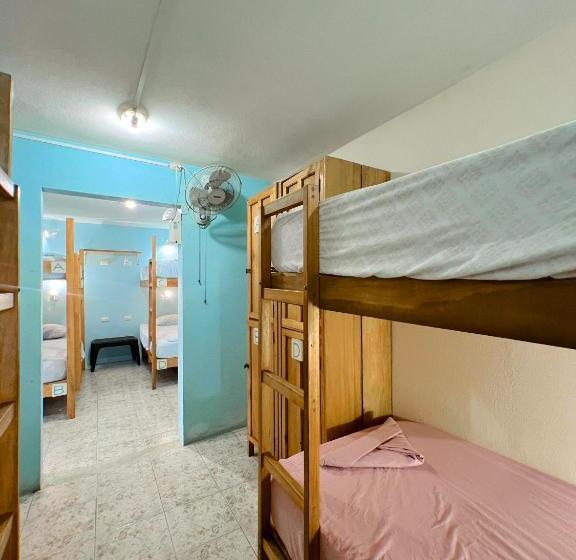 تختخواب در اتاق مشترک, Hostel Samara