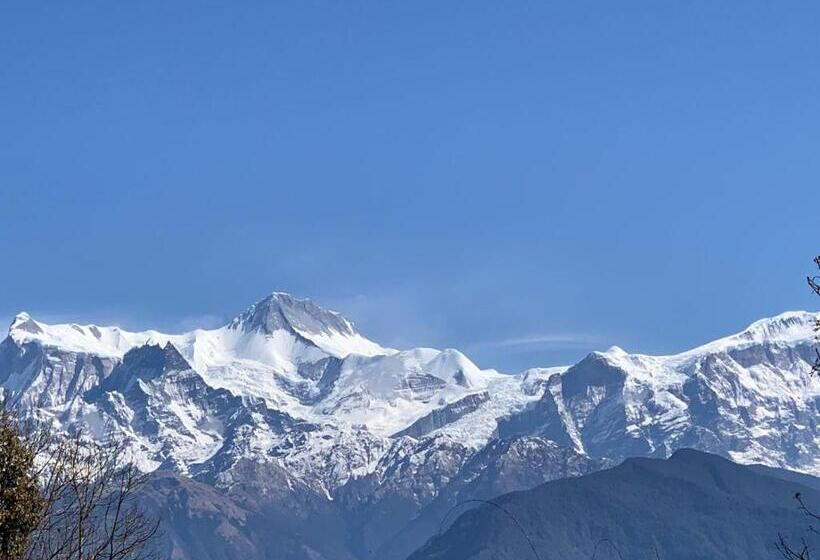 اتاق لوکس, Pristine Himalaya
