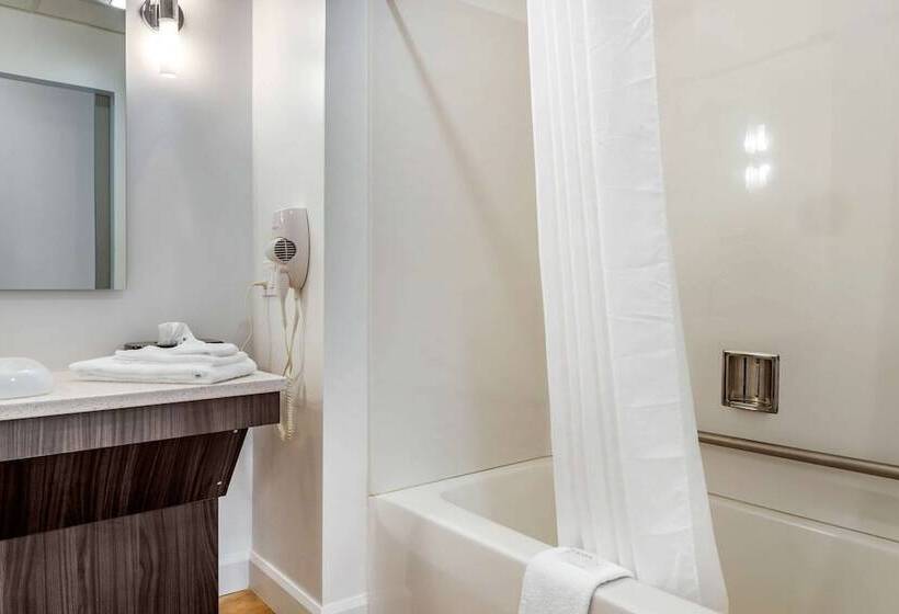 Номер Стандарт 2 Двуспальные Кровати, Rodeway Inn