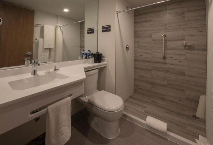 キングサイズベッドのスイートルーム, Microtel Inn & Suites By Wyndham Irapuato