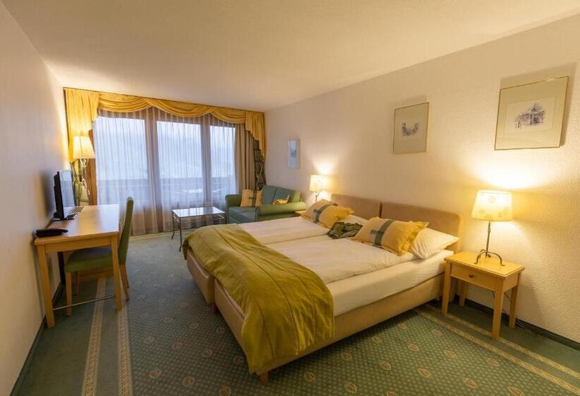 Номер Deluxe Вид на Горы, Chalet Hotel Beau Site