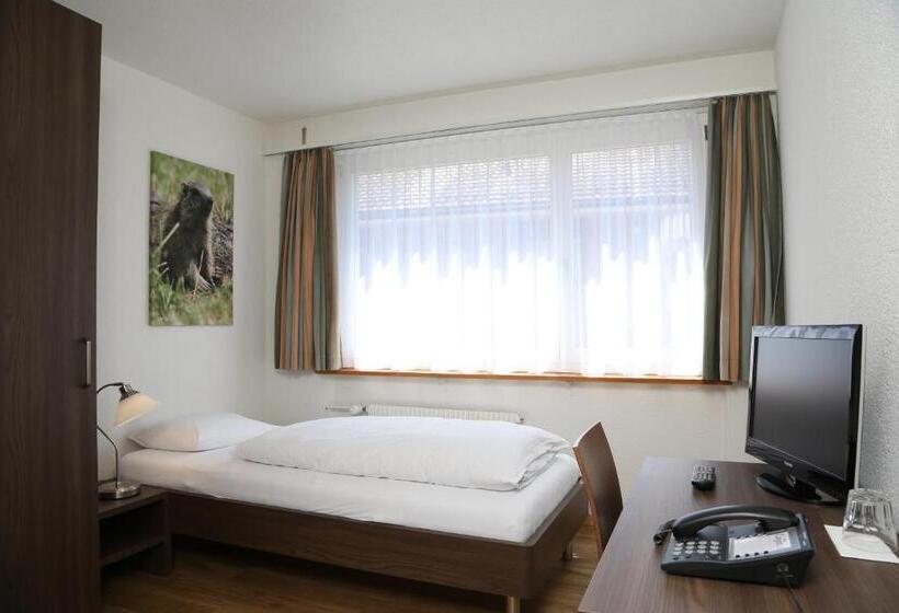 标准单人间, Crystal Interlaken