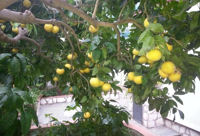 آپارتمان 1 خوابه, B&b Palazzo A Mare