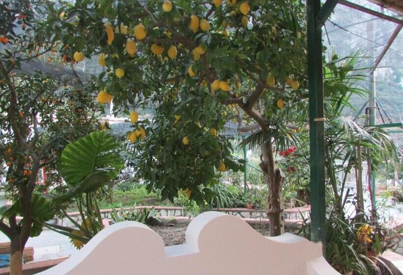 آپارتمان 1 خوابه, B&b Palazzo A Mare
