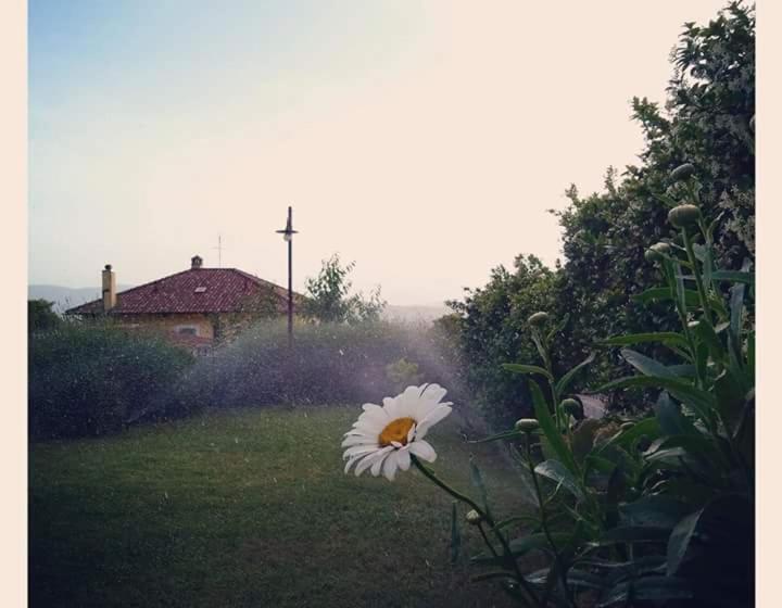 Трехместный Номер Deluxe, Agriturismo Monte Cologna