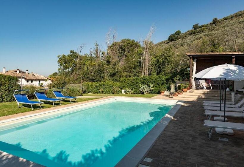 Студия Стандарт, Agriturismo Monte Cologna